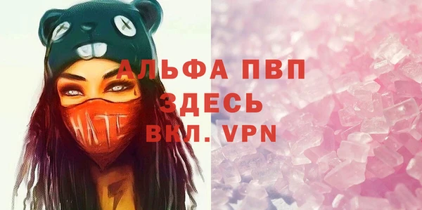 индика Баксан